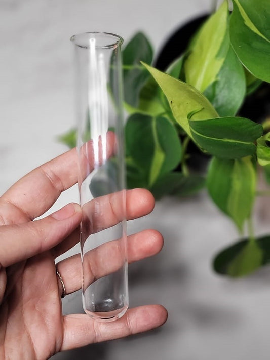 Replacement Plant Propagation Test Tube